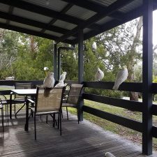 Cockatoo Cabin: Halls Gap, Grampians